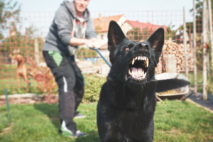 The Increased Risk of Dog Bites and Injuries