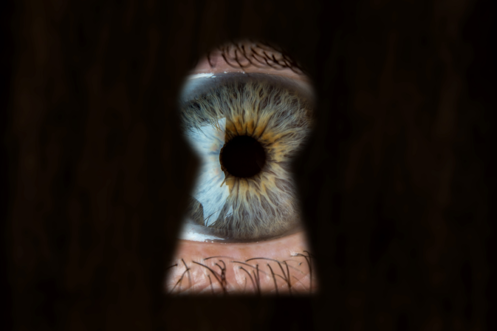 Withholding Particulars of Surveillance